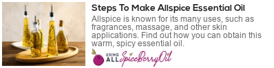 allspice oil for skin