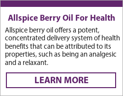  pimento berry allspice uses